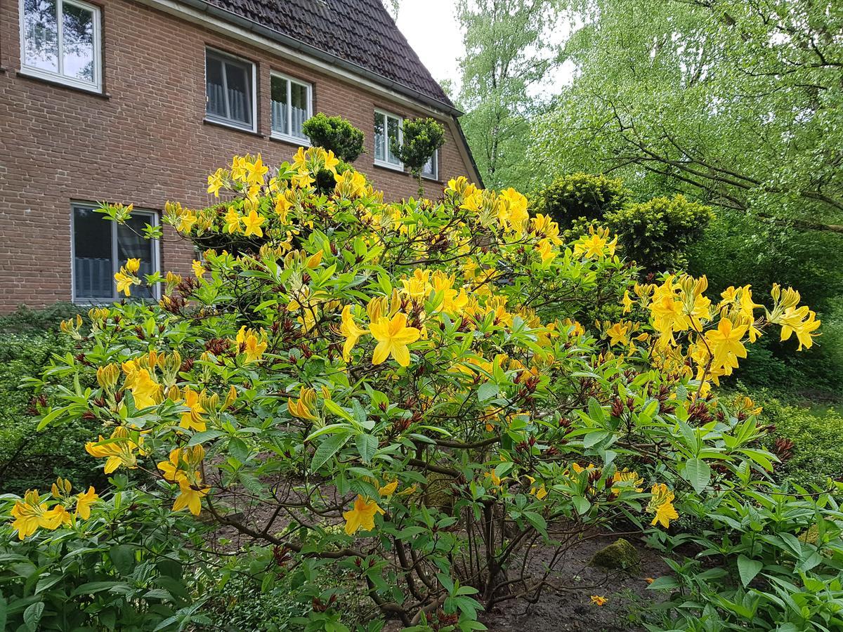 Pension 'Das Kleine Landhaus' Oberhaverbeck Bagian luar foto